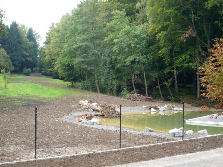 Die neue Schauanlage der Elche mit Biotop im Wildnispark Zürich